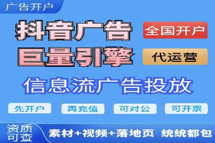 解析某某SEM服务公司的广告投放策略与效果评估